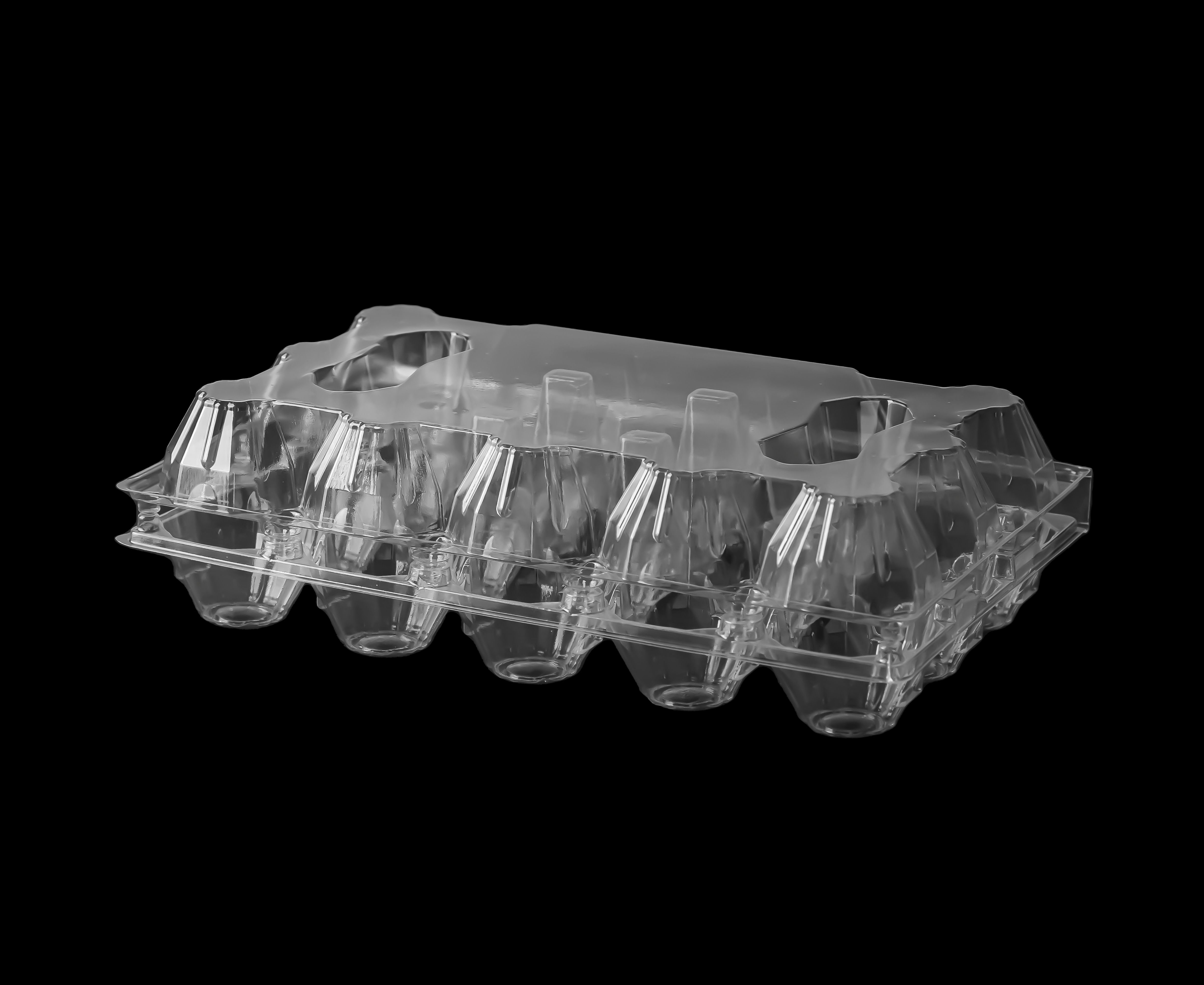 15 Eggs Tray 