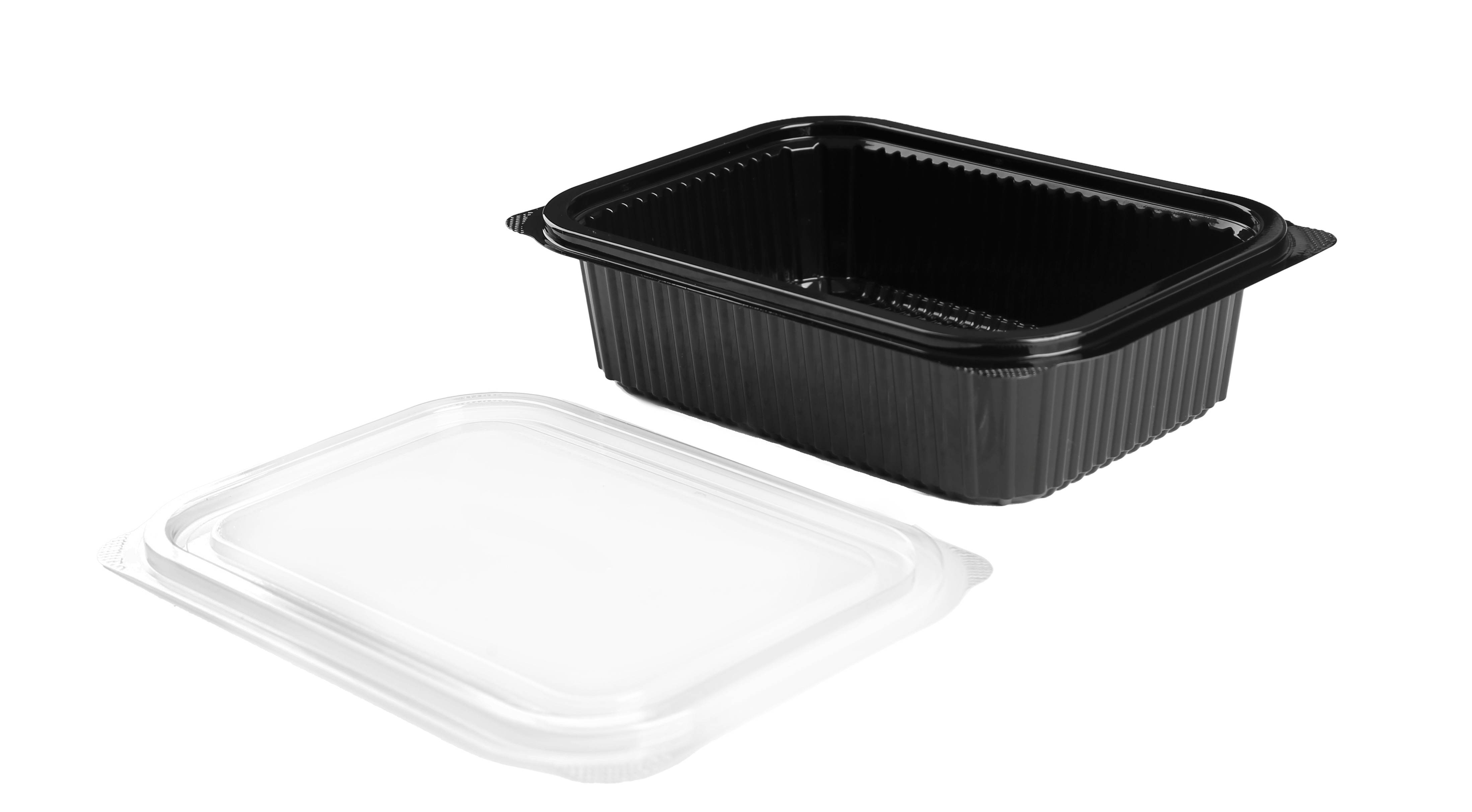 531 Medium Rectangular Container Only 