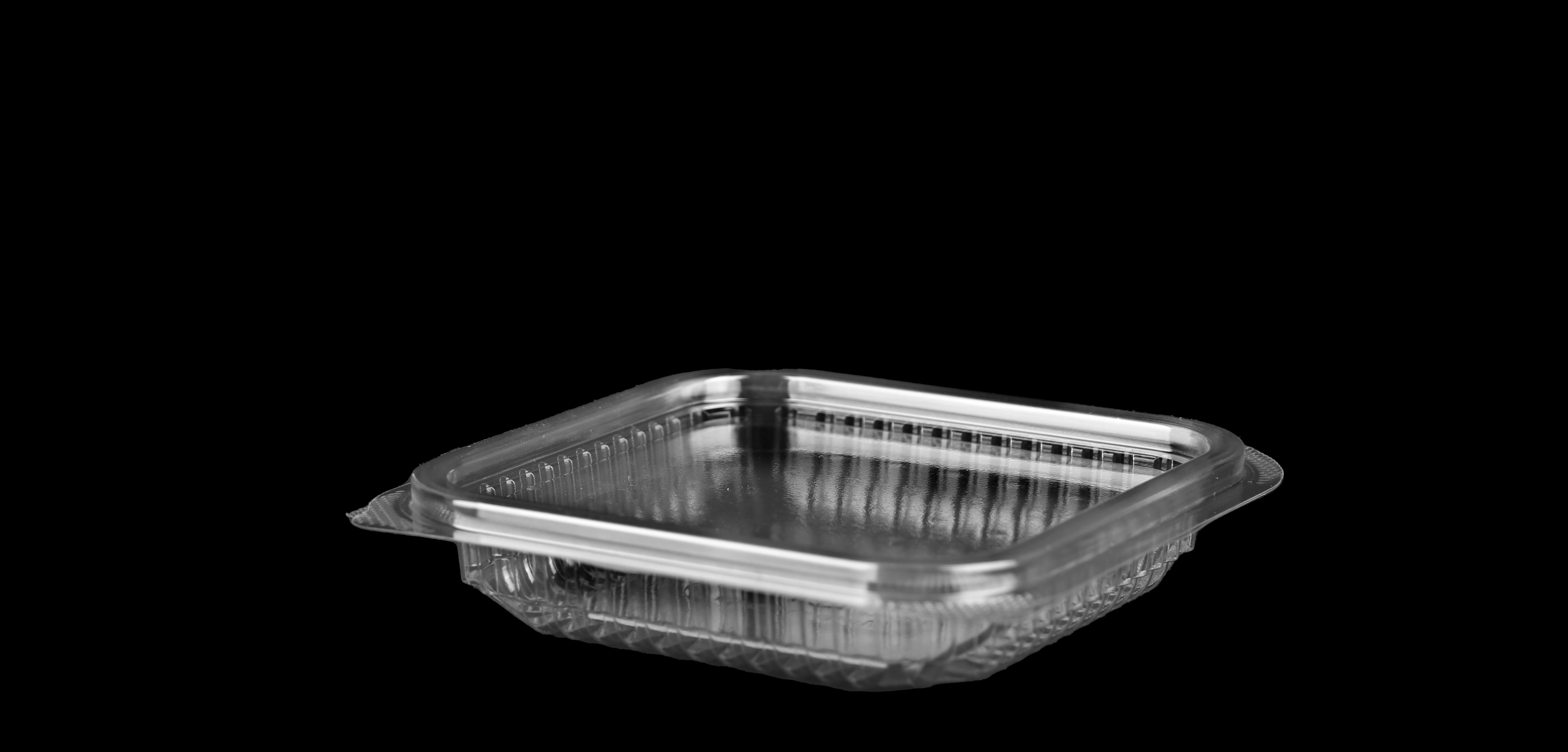  646 Hinged Lid Small Square Container 
