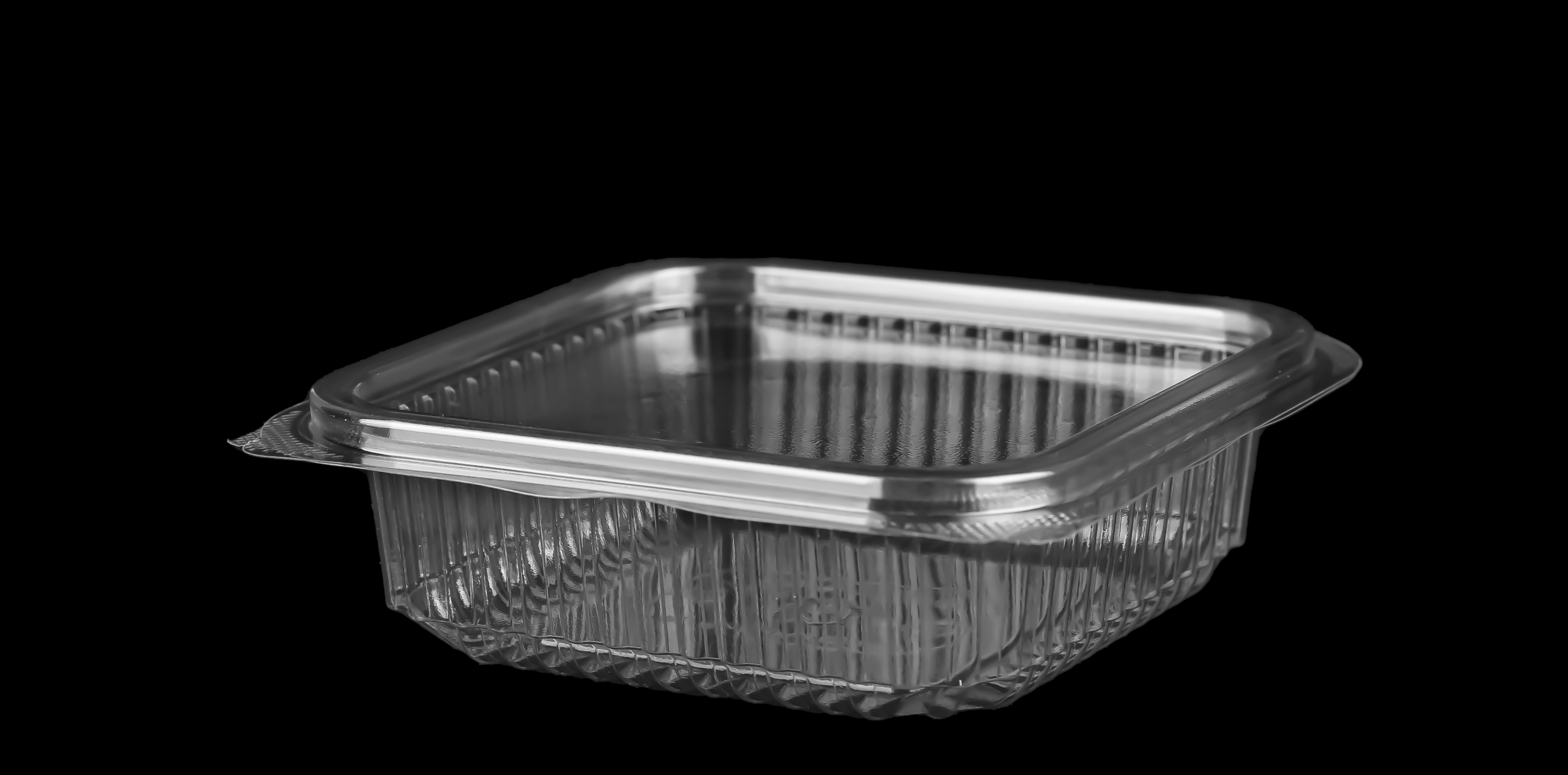 647 Hinged Lid Small Square Container 