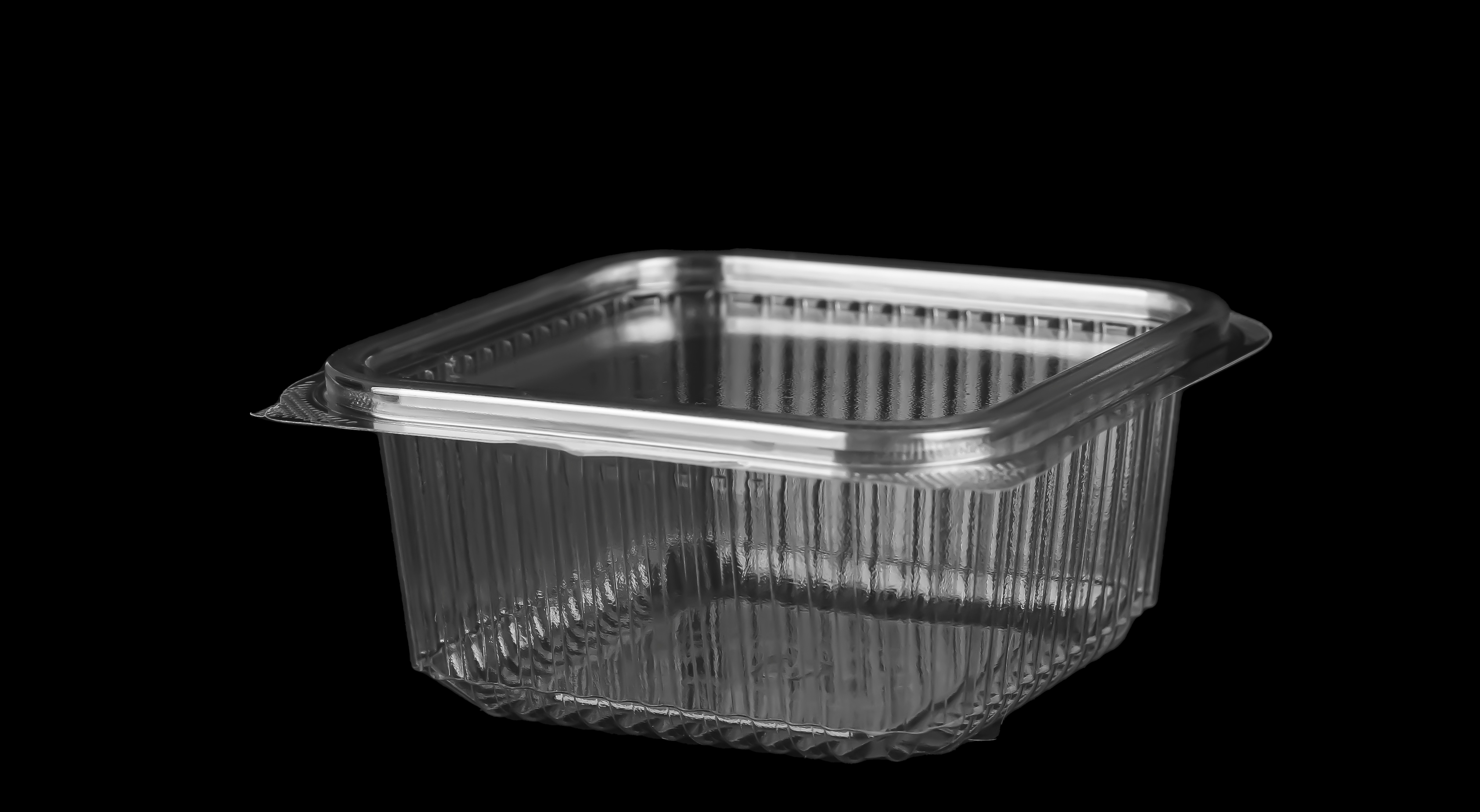 648 Hinged Lid Small Square Container 
