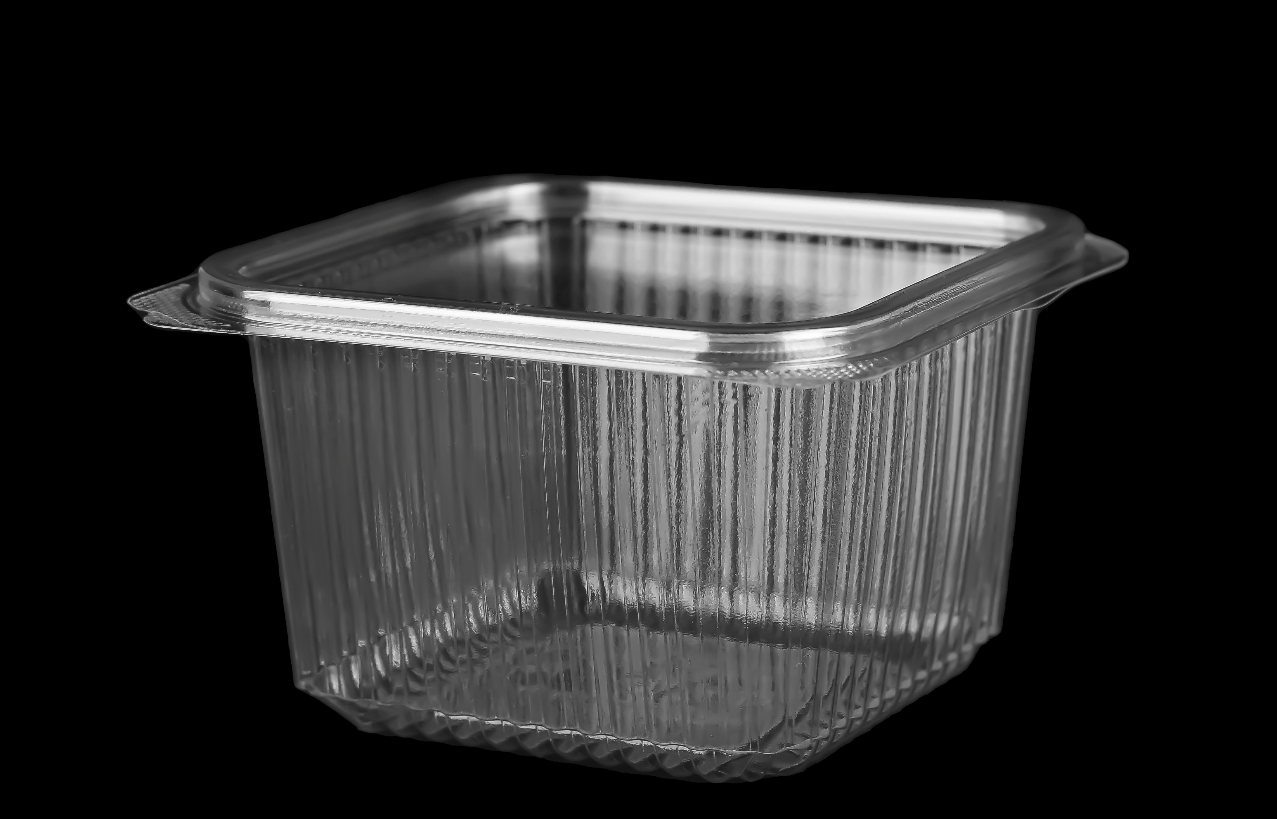 649 Hinged Lid Small Square Container 