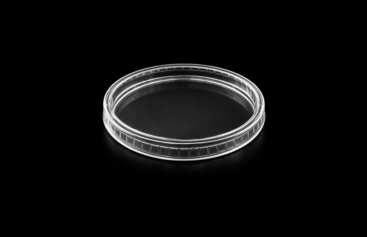Flat Lid 