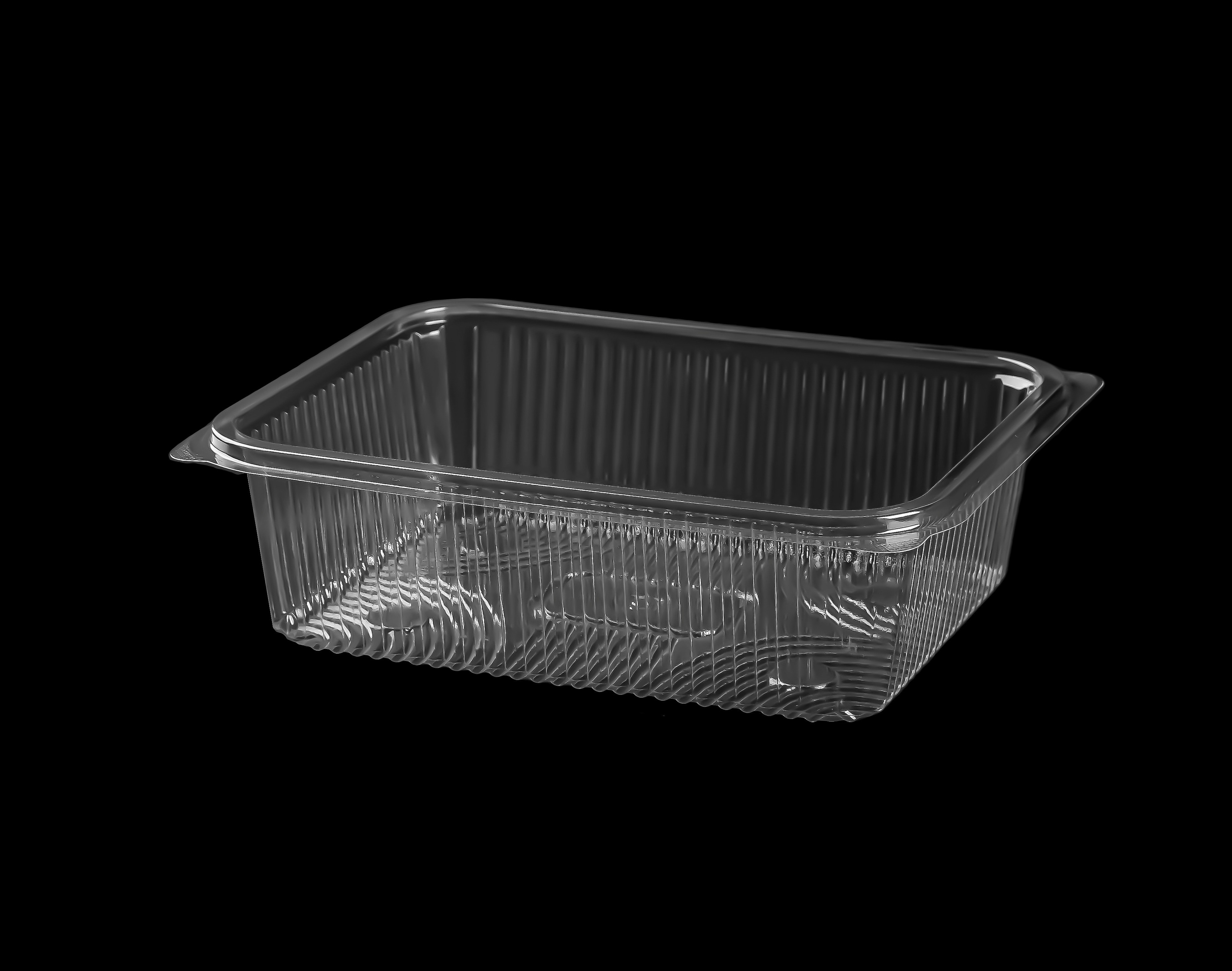 501 Large Rectangular Container Only 