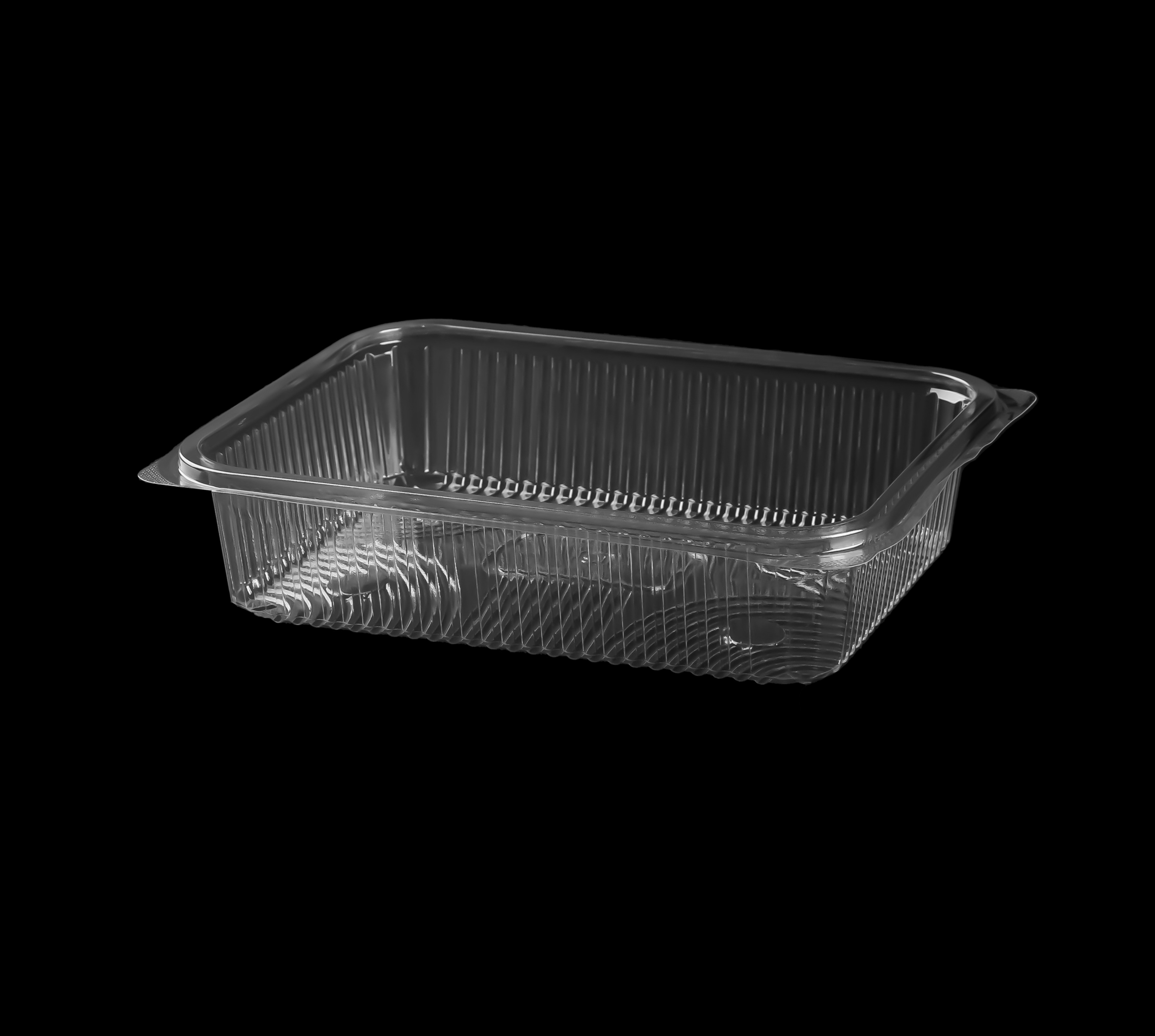 502 Large Rectangular Container Only