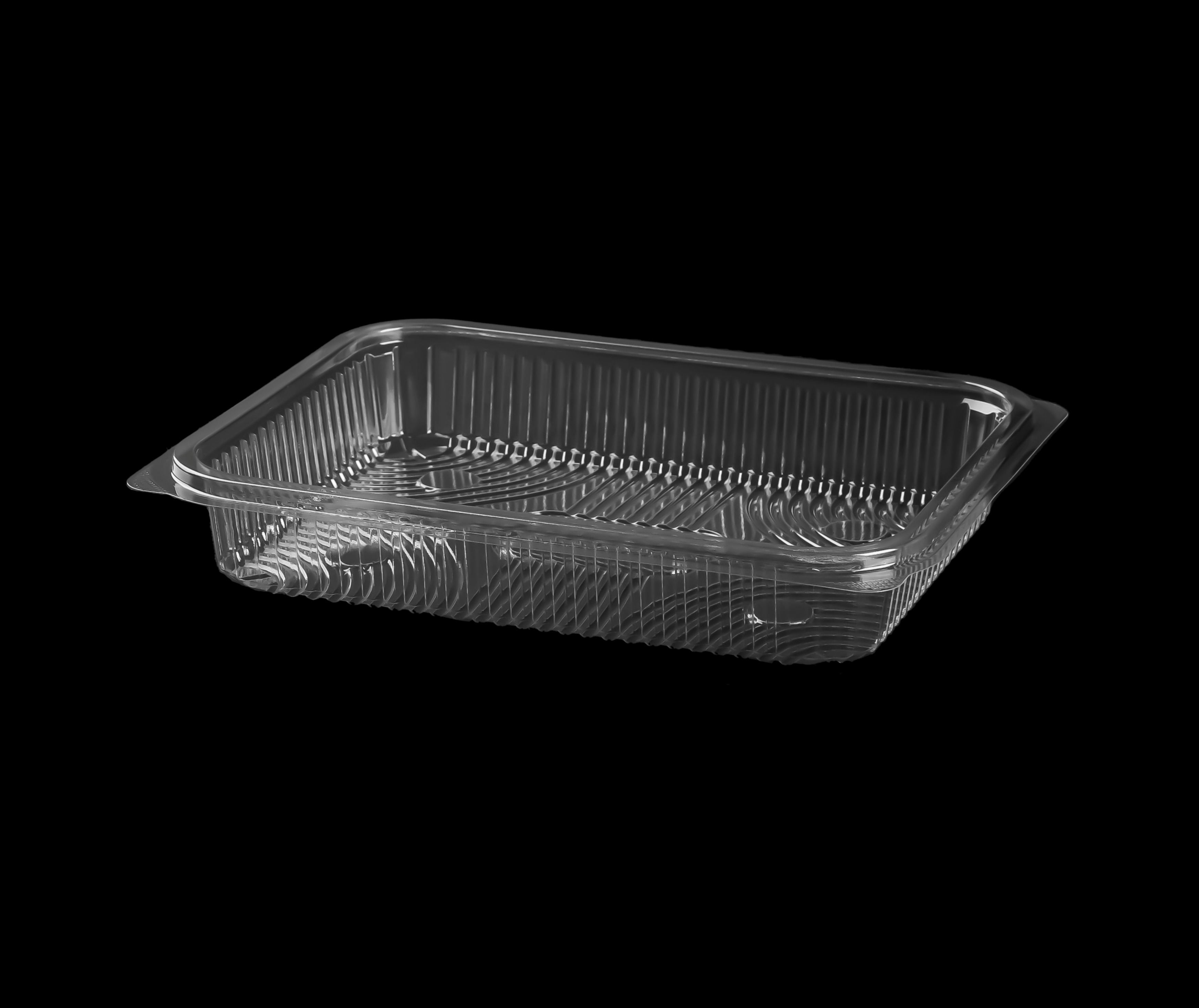 503 Large Rectangular Container Only
