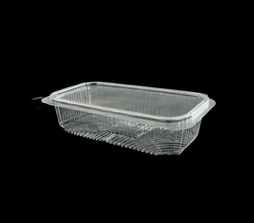 581 Medium Hinged Container 
