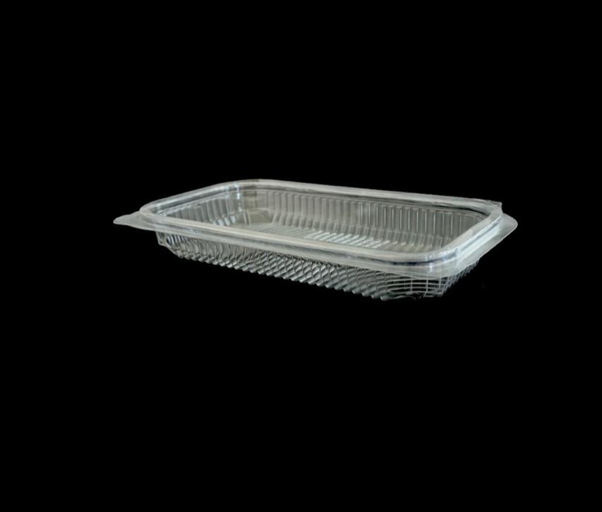 583 Medium Hinged Container