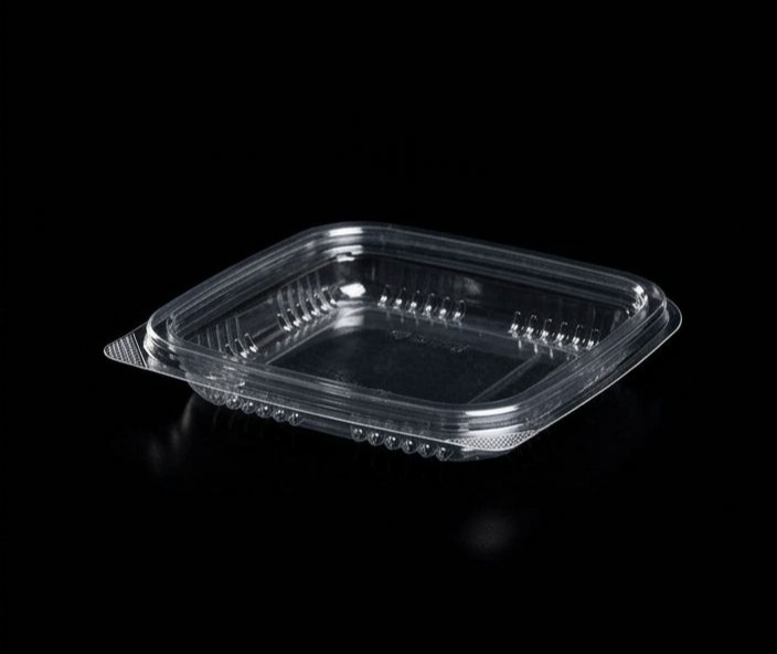 645 Hinged Lid Small Square Container 