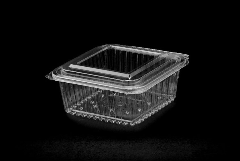 520 Hinged Lid Medium Container 