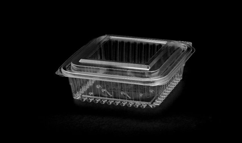 521 Hinged Lid Medium Container 