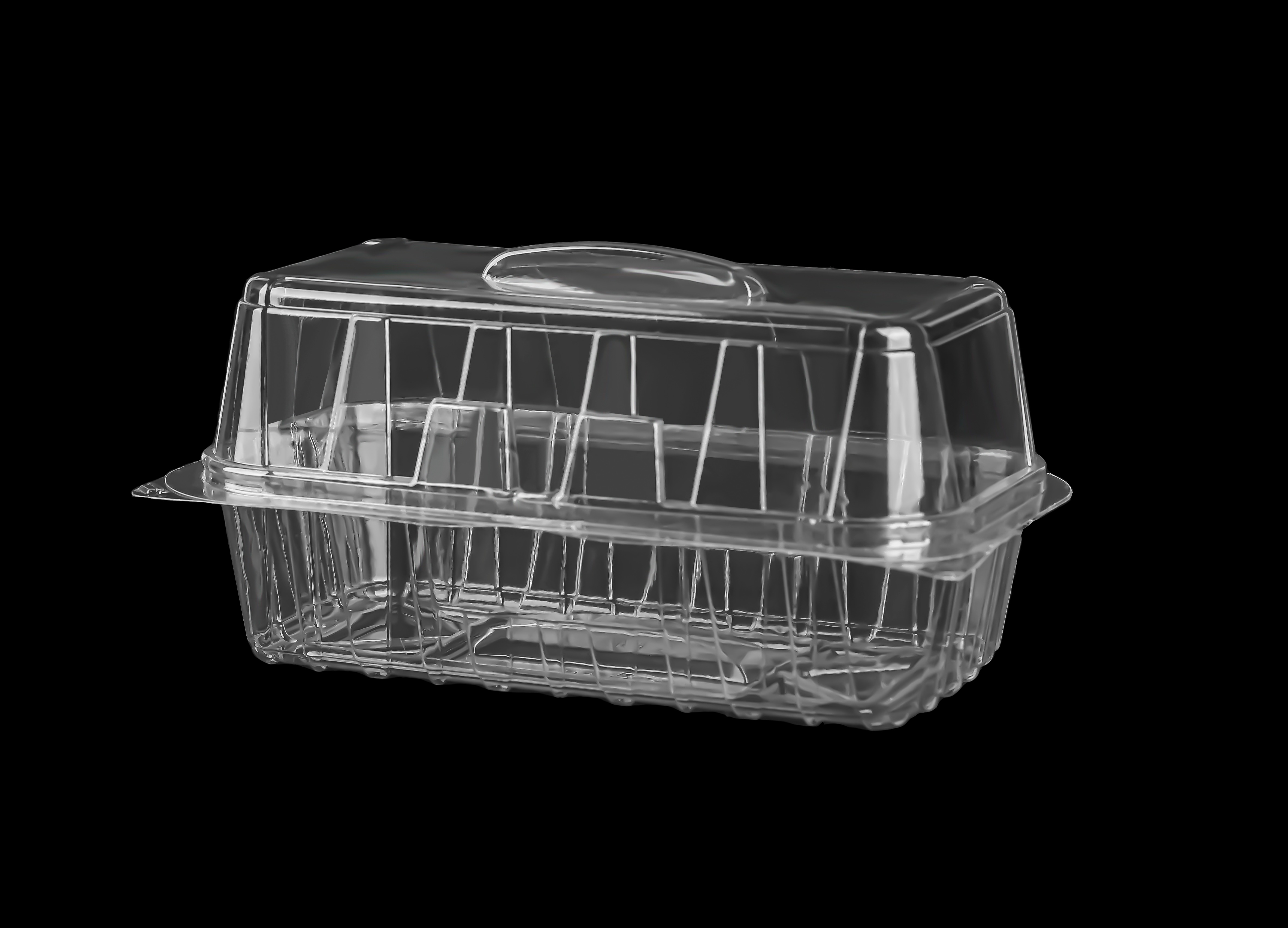 560 Medium Hinged Lid Container 