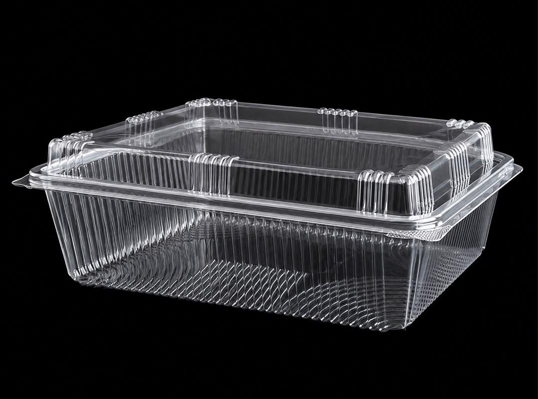 571 Large Hinged Lid Container (HIGH)